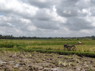 Similar image 22536450