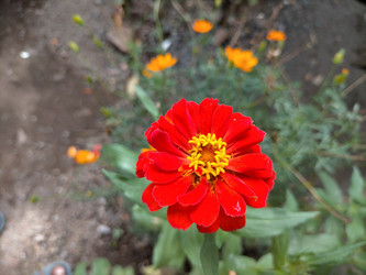 Similar image 22536462