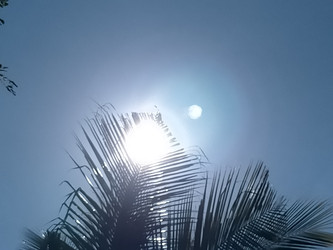 Similar image 22536477