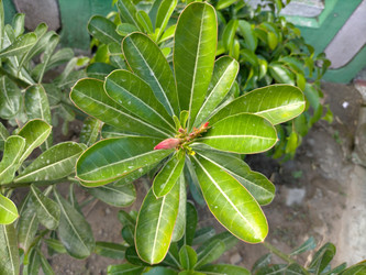 Similar image 22536506