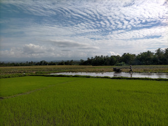 Similar image 22536523