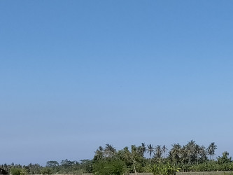 Similar image 22536552