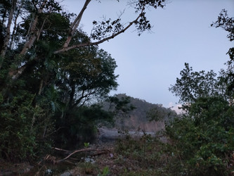 Similar image 22536553