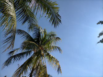 Similar image 22536567