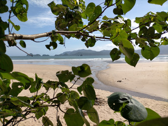 Similar image 22536568