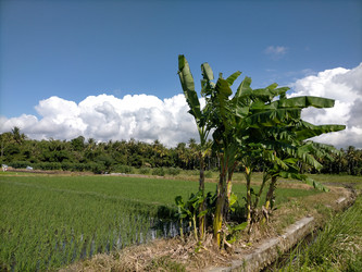 Similar image 22536583