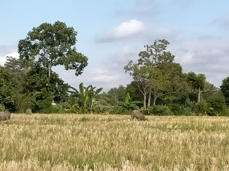 Similar image 22536597