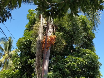 Similar image 22536598