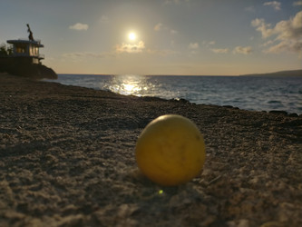 Similar image 22536611