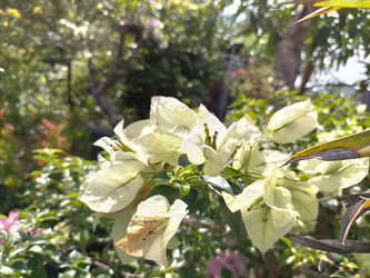 Similar image 22536627