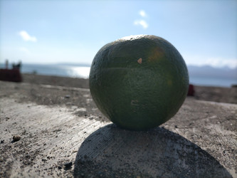 Similar image 22498609