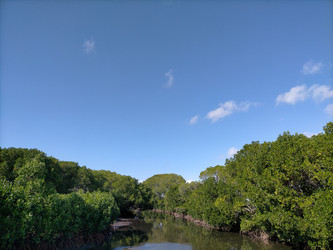 Similar image 22498626