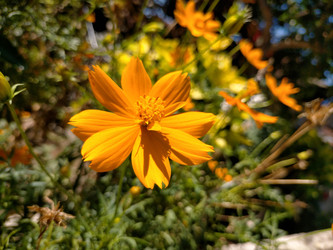 Similar image 22498639