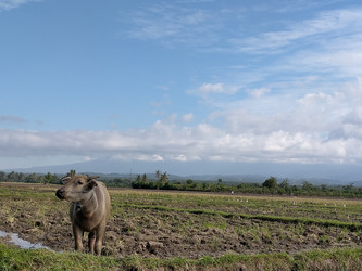 Similar image 22498640