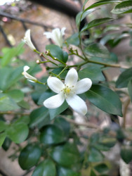 Similar image 22498655