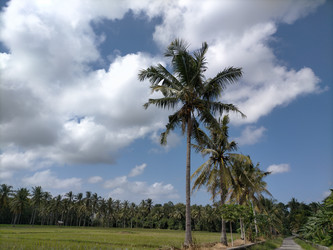 Similar image 22498700