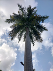 Similar image 22498714