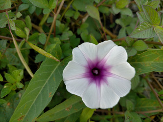 Similar image 22498731