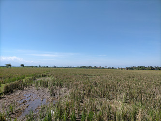 Similar image 22498744