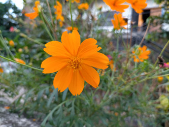 Similar image 22498745