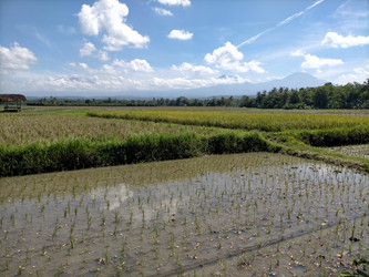 Similar image 22498760