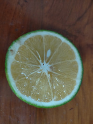 Similar image 22498775