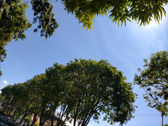 Similar image 22498791