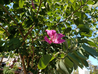 Similar image 22498804