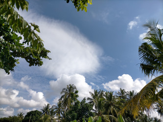 Similar image 22498821