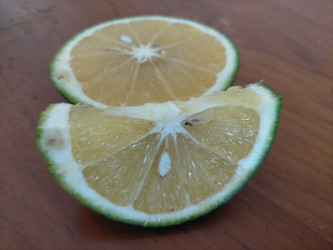 Similar image 22498836