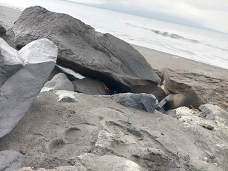 Similar image 22498849