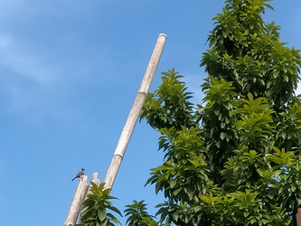 Similar image 22498850