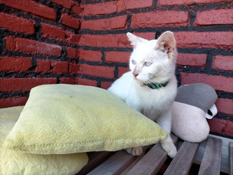 Similar image 22498867