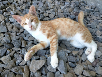 Similar image 22498882