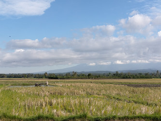 Similar image 22498940