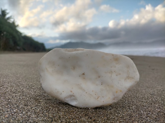 Similar image 22498957