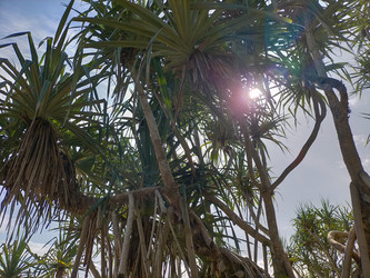 Similar image 22498972