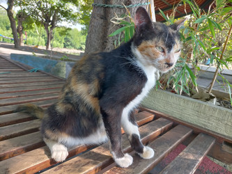 Similar image 22498986