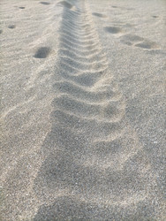 Similar image 22498987