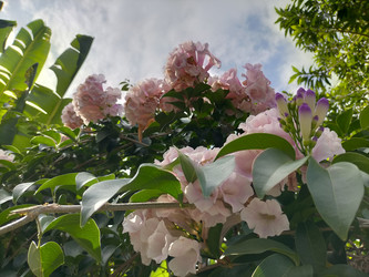 Similar image 22499002