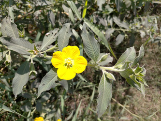 Similar image 22499046