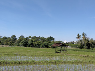 Similar image 22499062