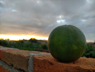 Similar image 22499076