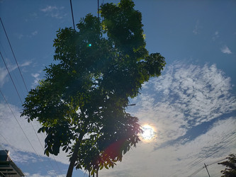 Similar image 22499356