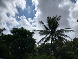 Similar image 22499370