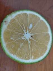 Similar image 22499401