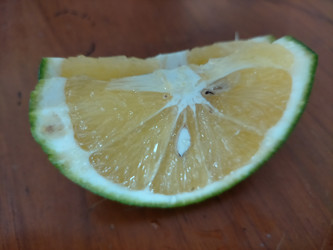 Similar image 22499445