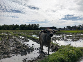 Similar image 22500944