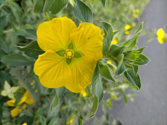 Similar image 22501278