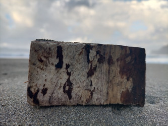 Similar image 22501285